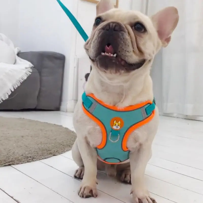 Adjustable No Pull Dog Harness