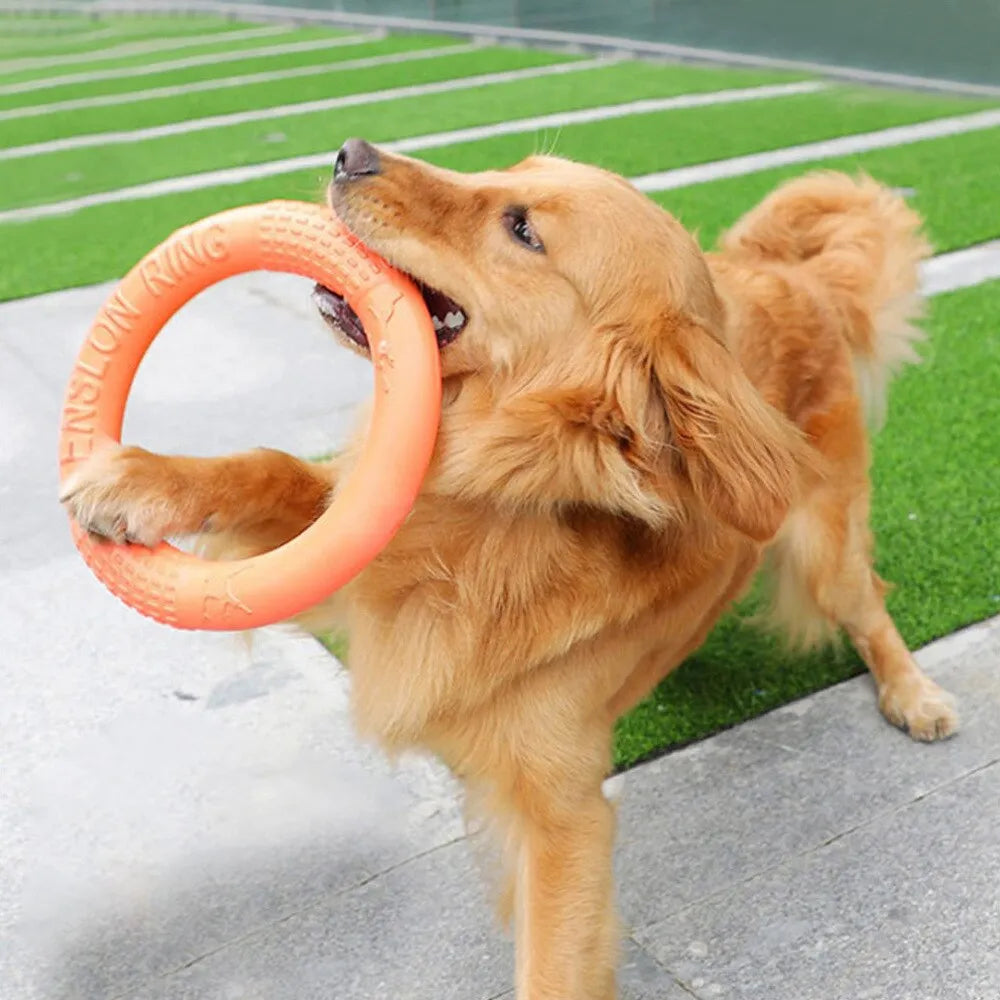 Pet Flying Disk Training Ring   Puller Resistant