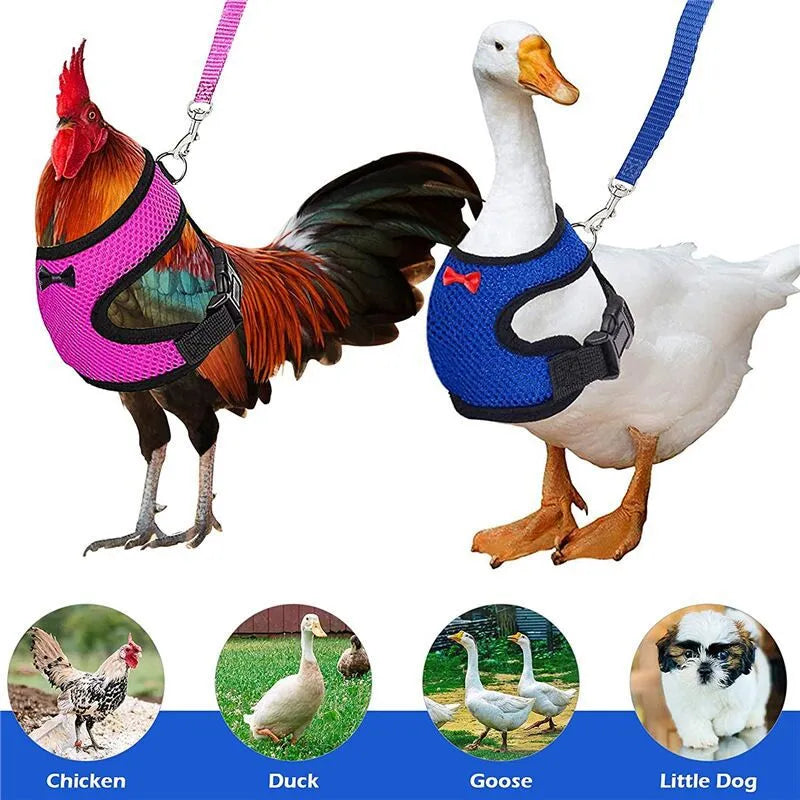 Pet Adjustable Harness Leash for Chicken Breathable Vest