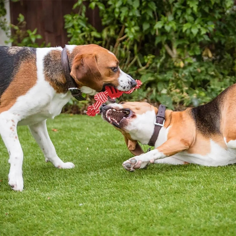 dog rope toy