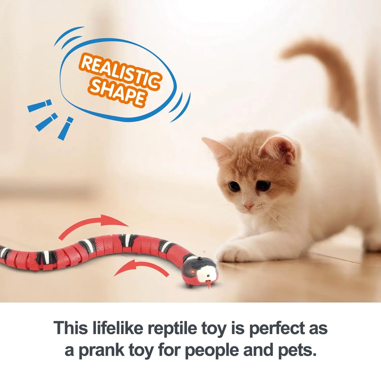 Toys Interactive Snake Cat Teaser Indoor Play Kitten