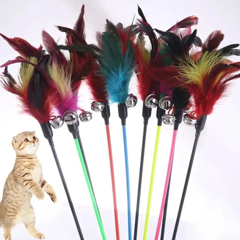 Cat Stick Feathers Tease Cats Sticks