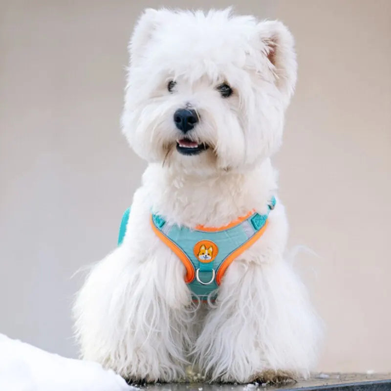 Adjustable No Pull Dog Harness