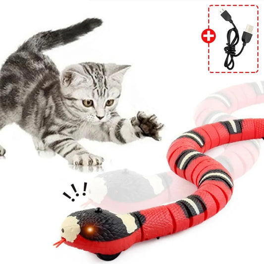 Toys Interactive Snake Cat Teaser Indoor Play Kitten