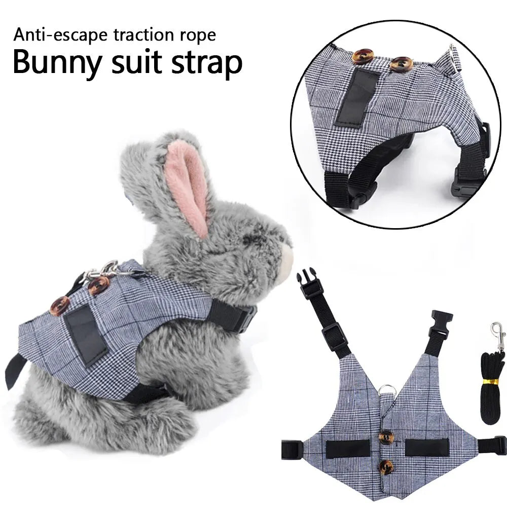 Cute Rabbit Harness and  Walking Pet