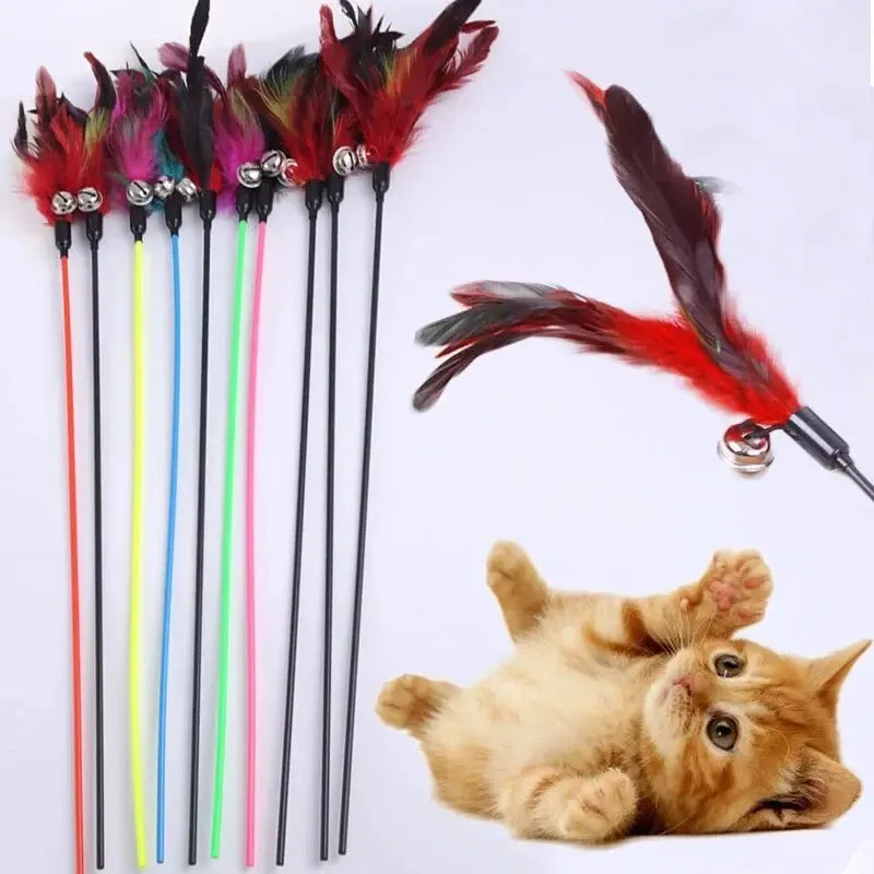 Cat Stick Feathers Tease Cats Sticks