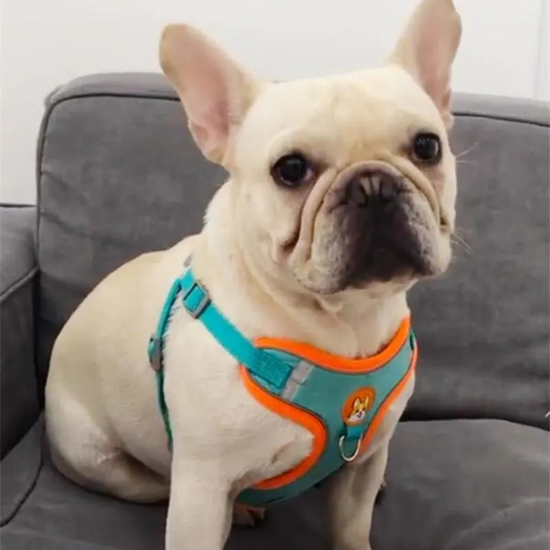 Adjustable No Pull Dog Harness