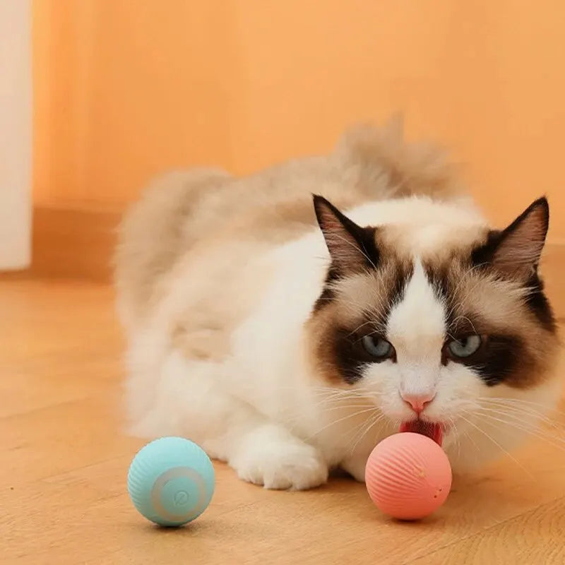 Gravity Intelligent Rolling Ball Cat Toys