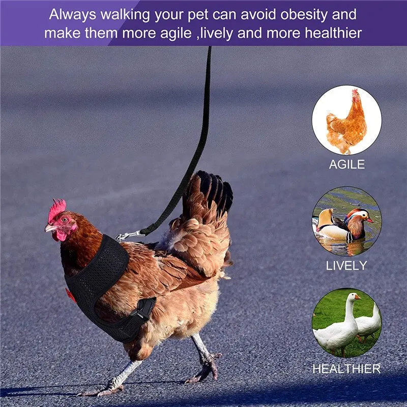 Pet Adjustable Harness Leash for Chicken Breathable Vest