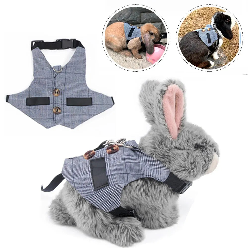 Cute Rabbit Harness and  Walking Pet