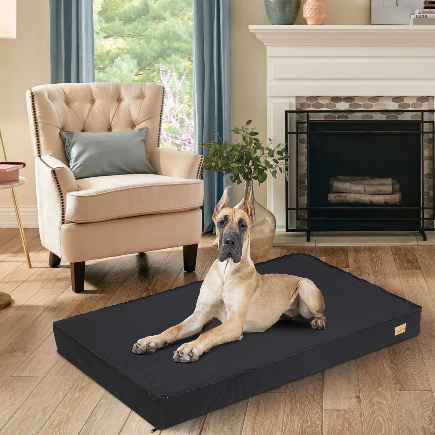 Orthopedic Dog Bed