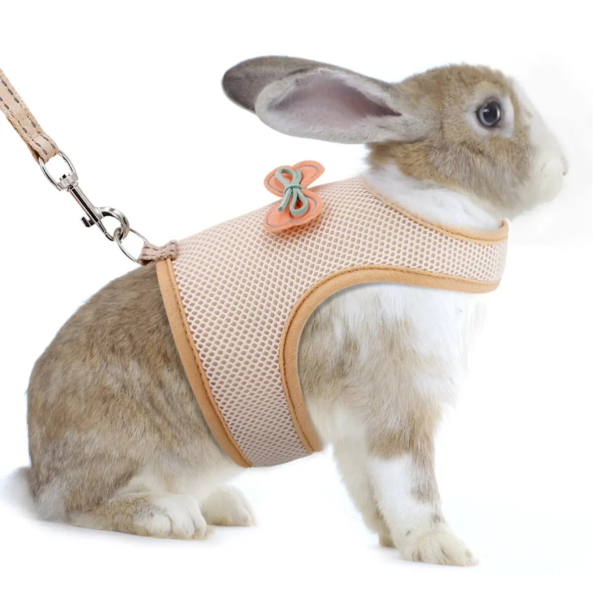 1 Set Fashion Macaron Color Breathable Pet Rabbit Chest Back with Traction Rope