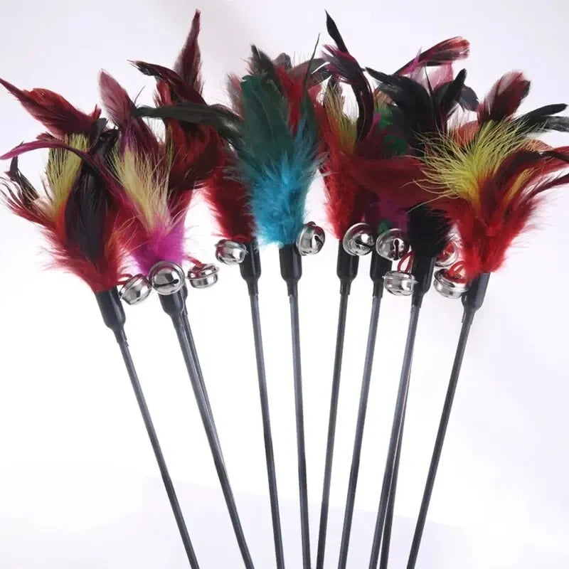 Cat Stick Feathers Tease Cats Sticks