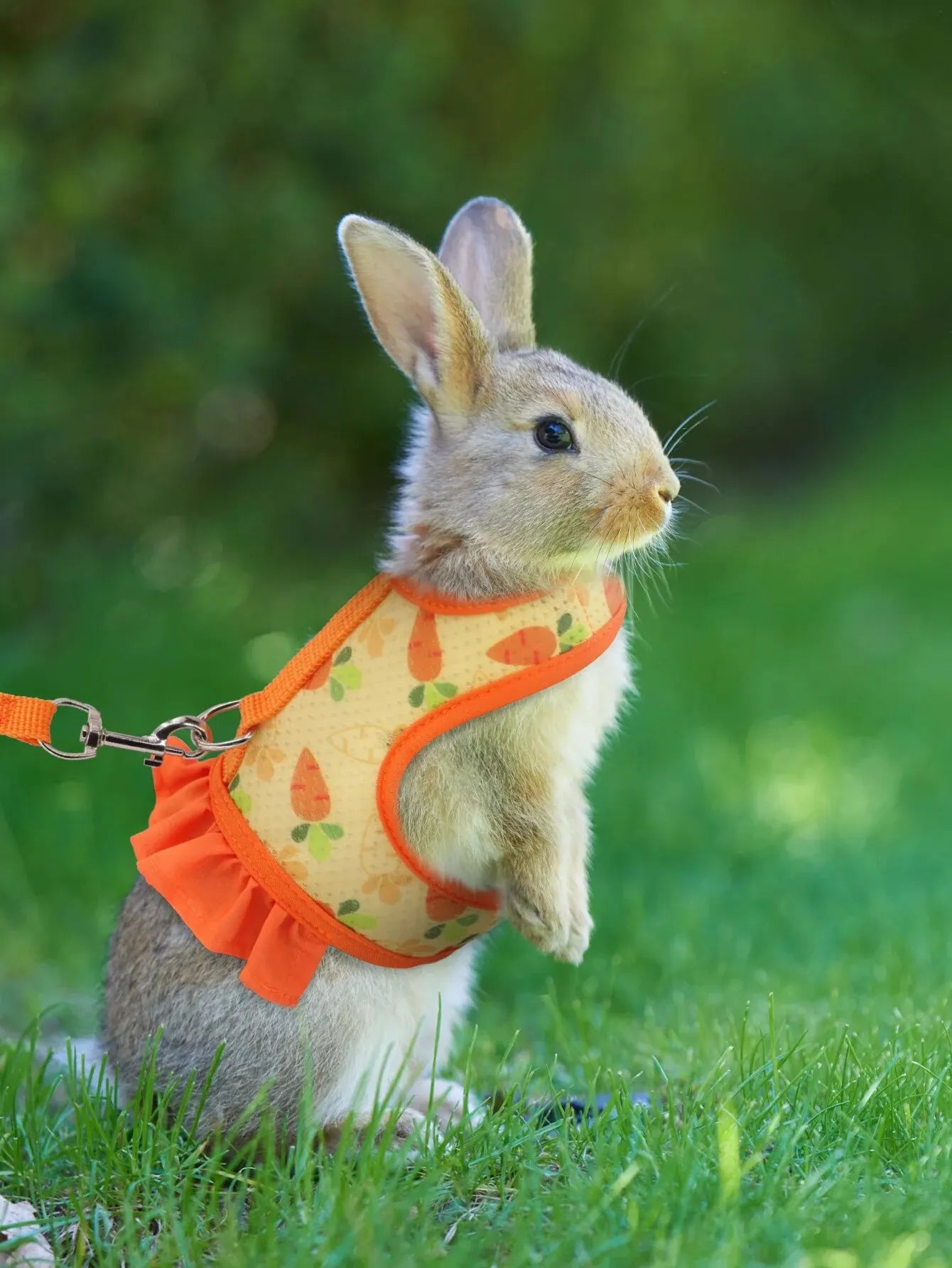 1pc Adjustable Bunny Harness set  for Outdoor