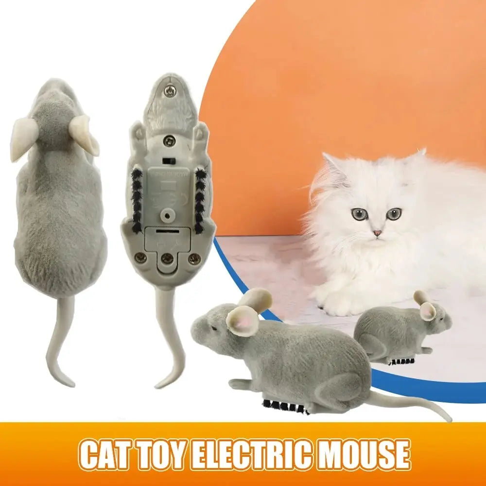 Cat Play Robot Vibration Crawling Battery Operated