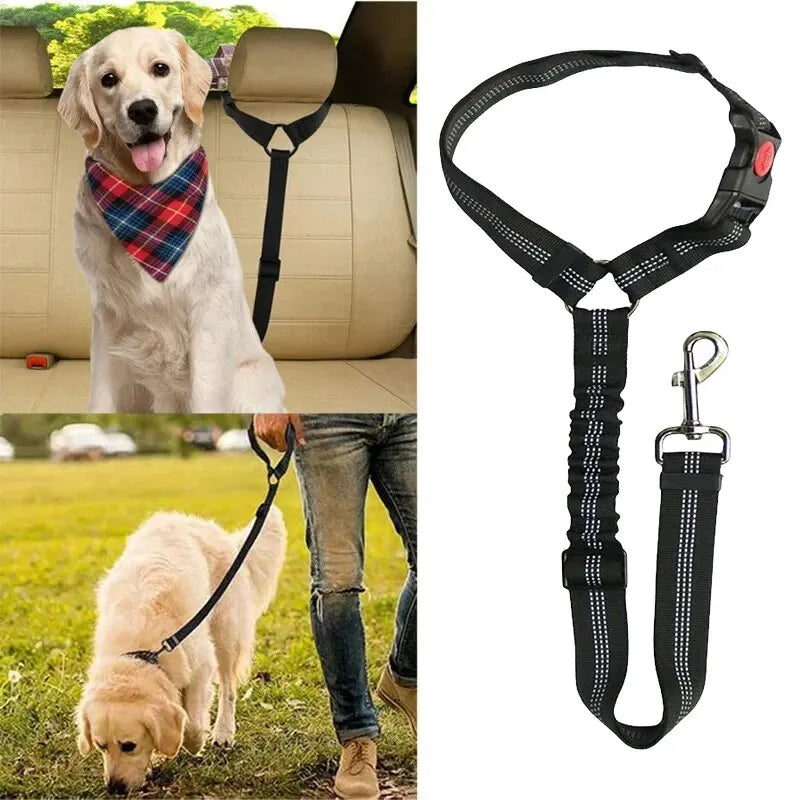 safety belt/harness and walking leash