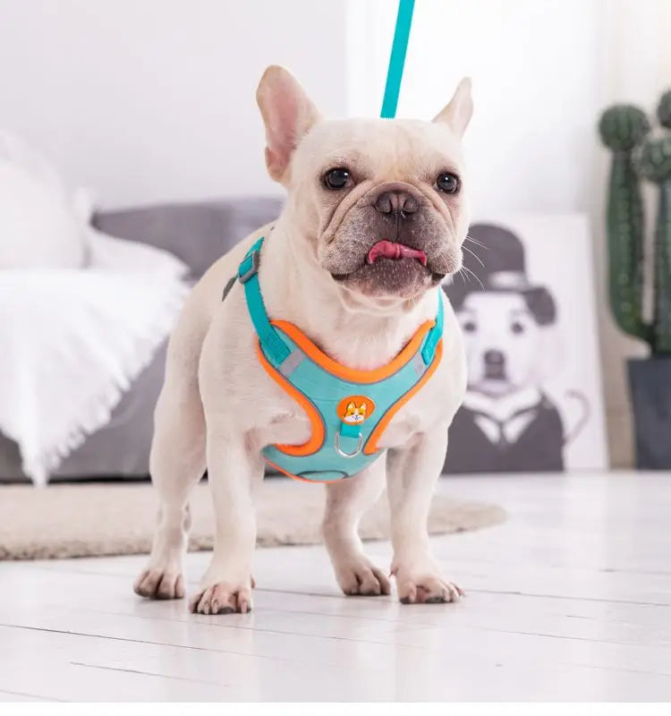 Adjustable No Pull Dog Harness