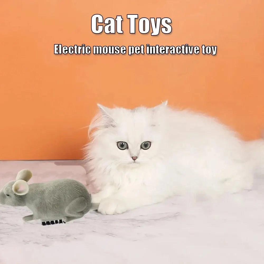 Cat Play Robot Vibration Crawling Battery Operated