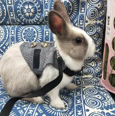 Cute Rabbit Harness and  Walking Pet