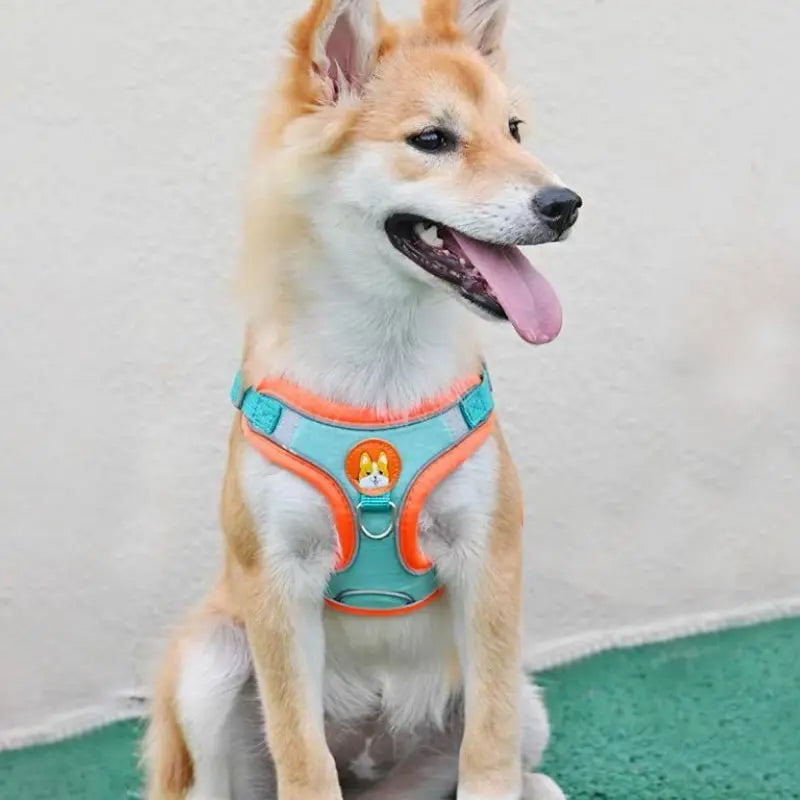 Adjustable No Pull Dog Harness