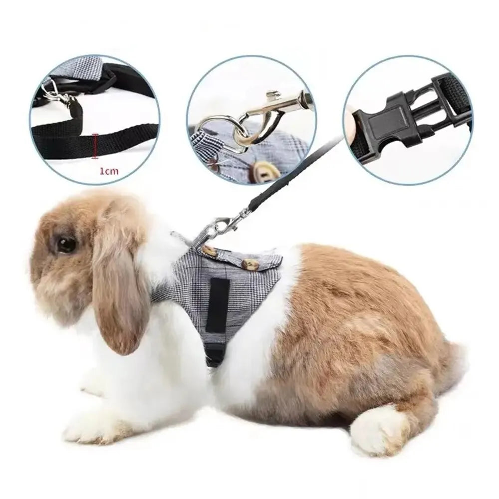 Cute Rabbit Harness and  Walking Pet