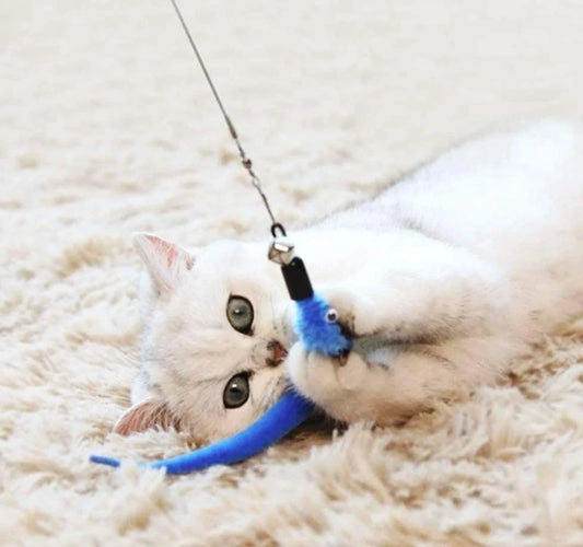 Toy Set Feather Retractable Cat Stick Cat