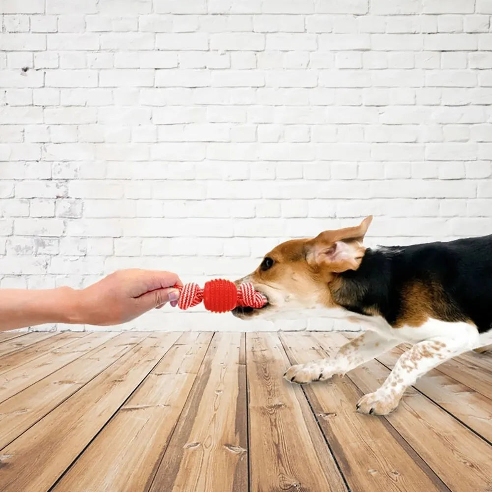 dog rope toy