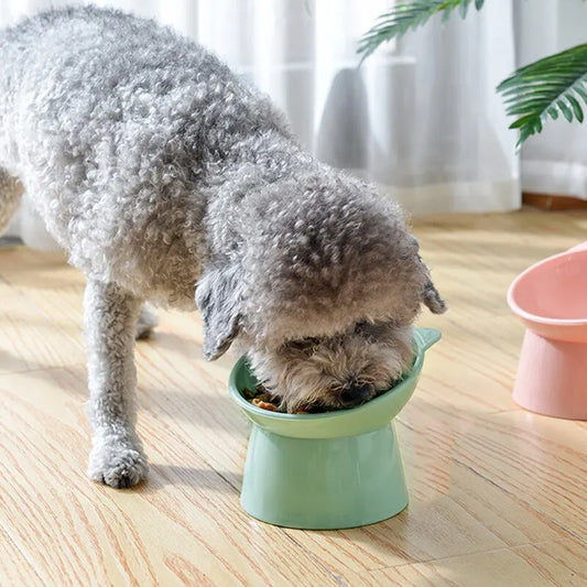 High Bottom Tilt Feeding Bowl