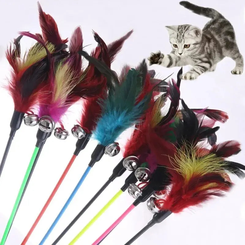 Cat Stick Feathers Tease Cats Sticks