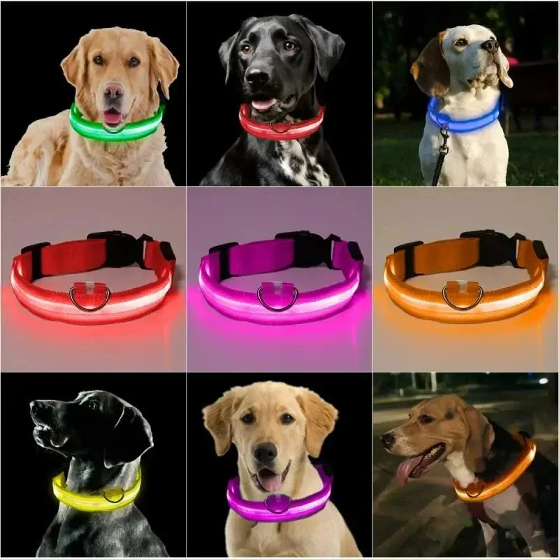 LED Glowing Dog Collar