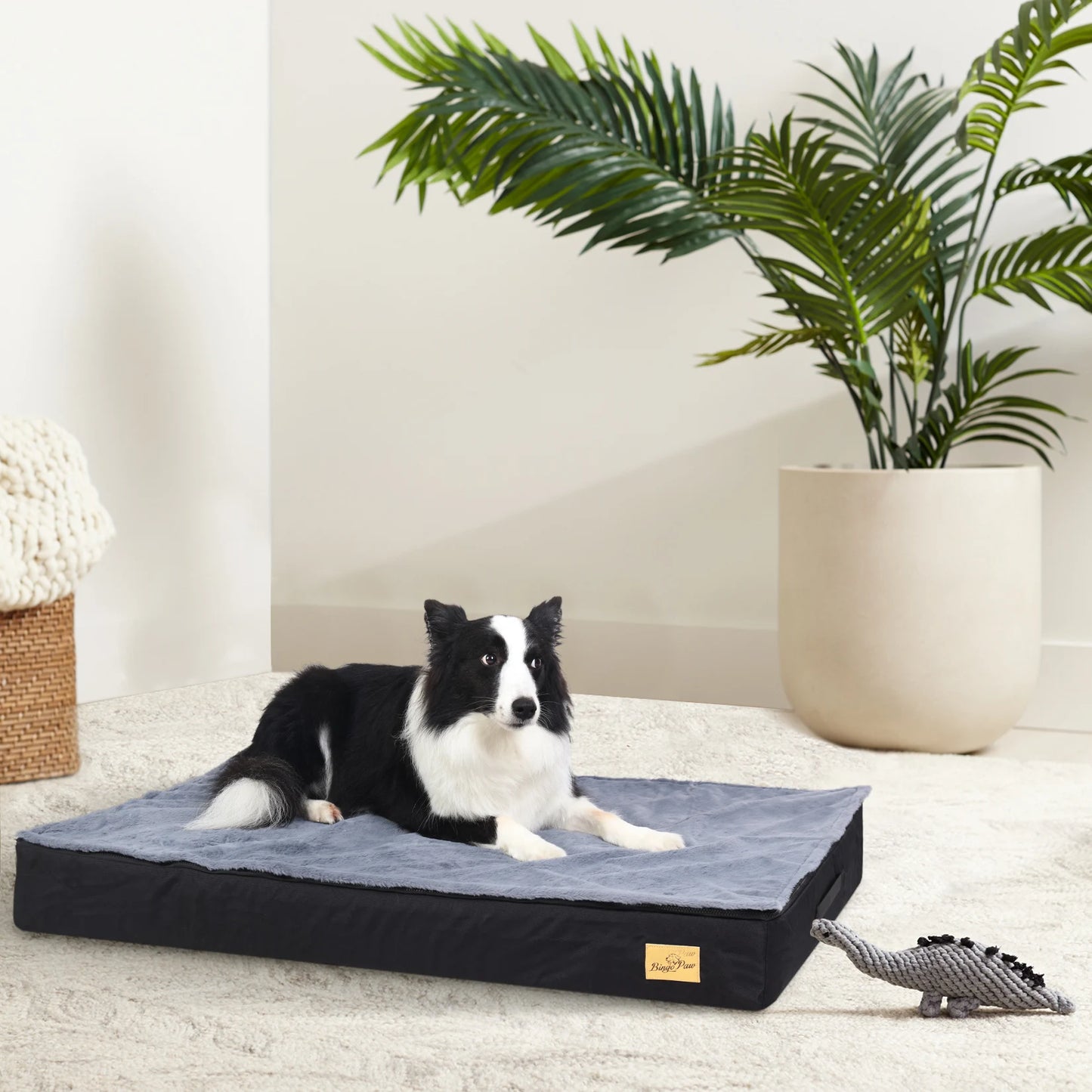 Orthopedic Dog Bed