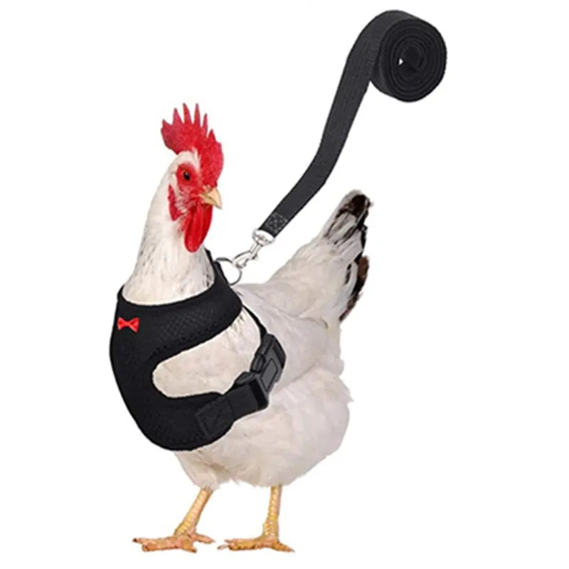 Pet Adjustable Harness Leash for Chicken Breathable Vest