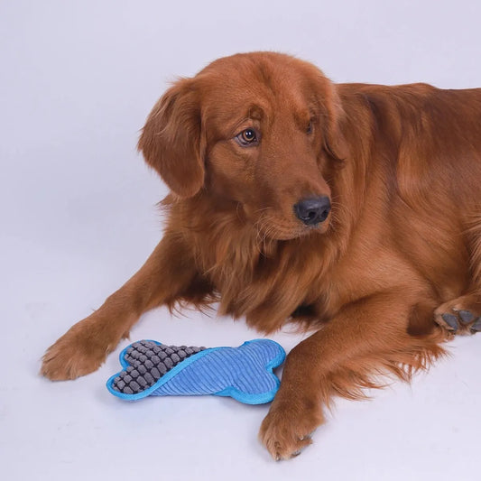 Plush Squeaky Bones Toy