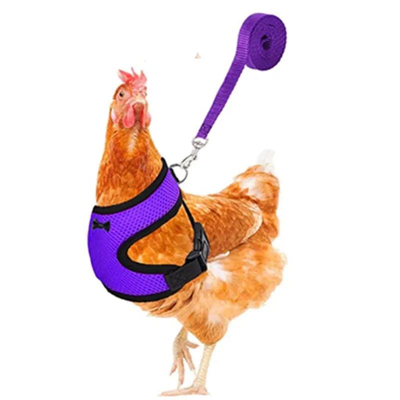 Pet Adjustable Harness Leash for Chicken Breathable Vest