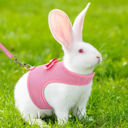 1 Set Fashion Macaron Color Breathable Pet Rabbit Chest Back with Traction Rope