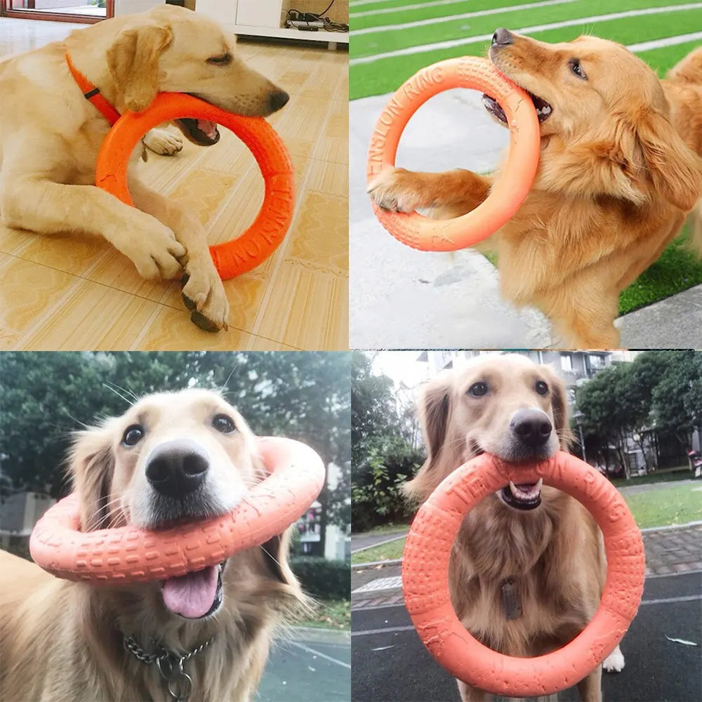 Pet Flying Disk Training Ring   Puller Resistant