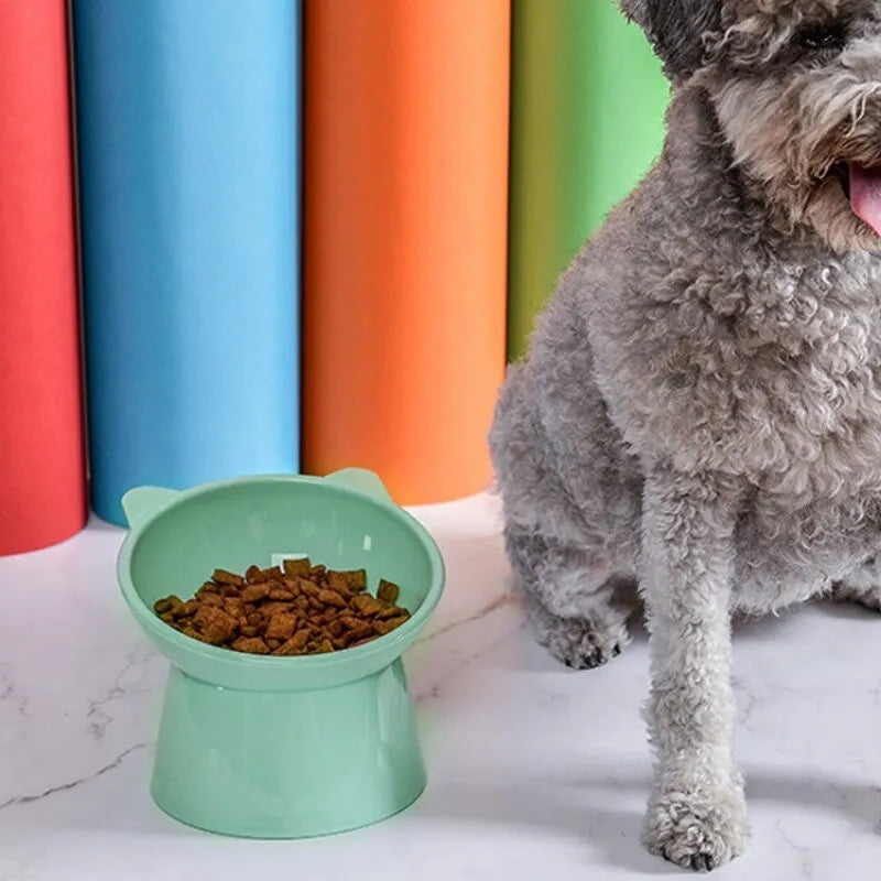 High Bottom Tilt Feeding Bowl