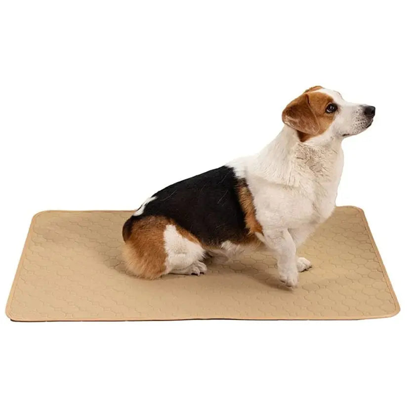 pet pee mat Super Absorbent Reusable