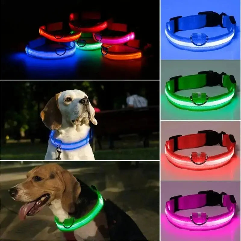 LED Glowing Dog Collar